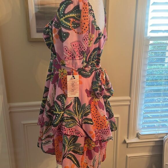 Crystal Sky Floral V-Neck Mini Dress - Picture 8 of 9